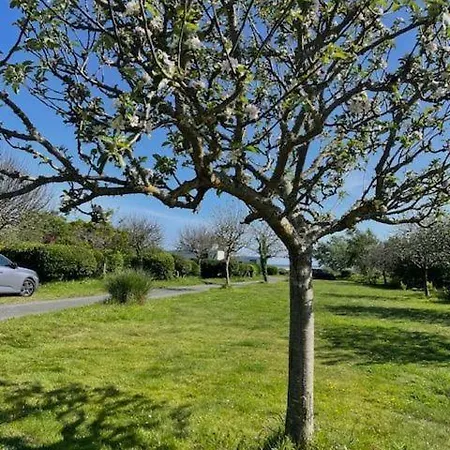 Camping Les Vergers De Squividan *** Tréffiagat Exterior photo