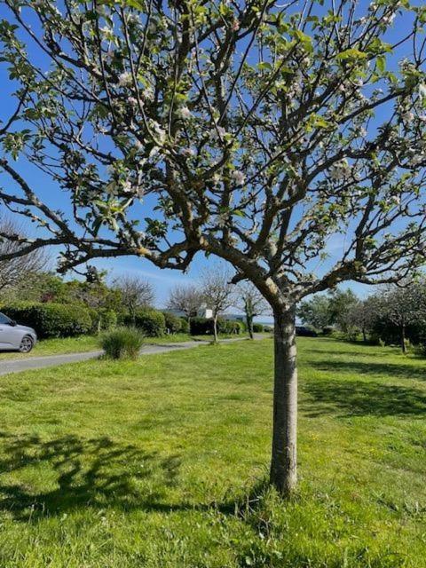 Camping Les Vergers De Squividan *** Tréffiagat